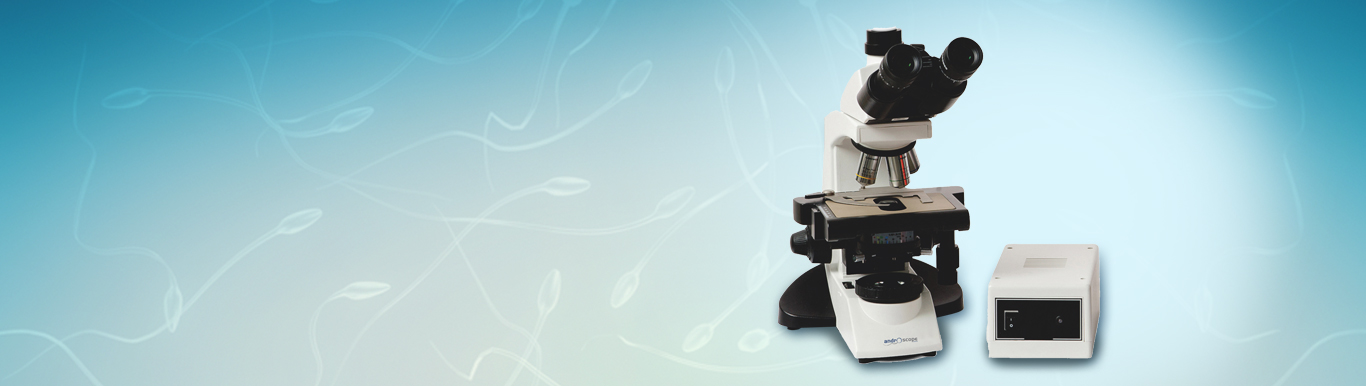 Bootstrap Touch Slider