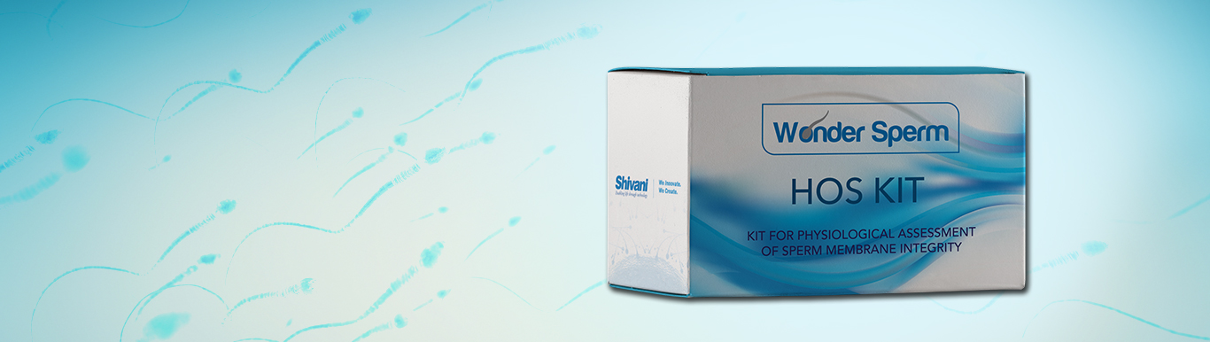 Bootstrap Touch Slider