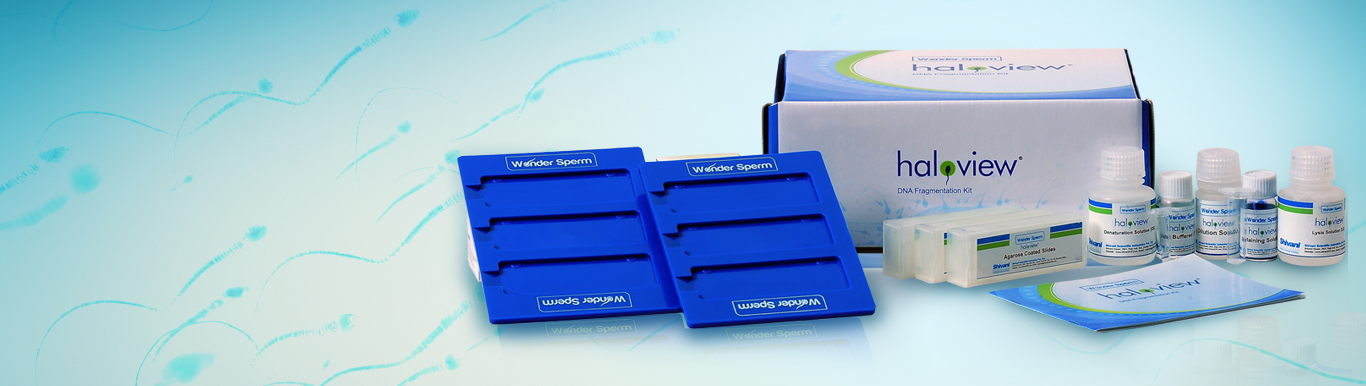 Bootstrap Touch Slider