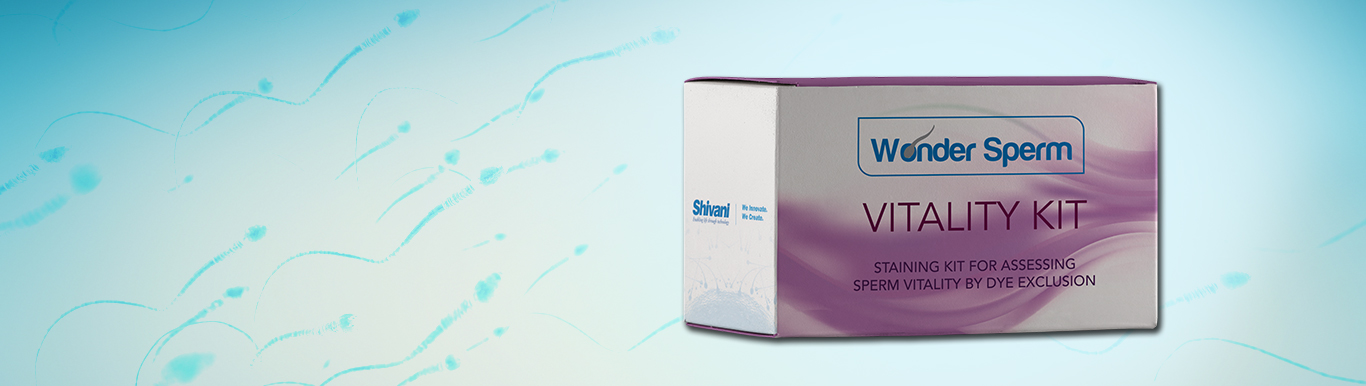 Bootstrap Touch Slider